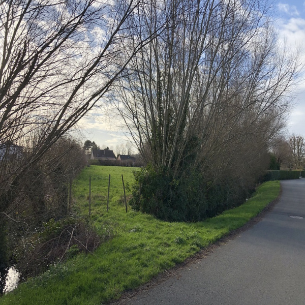 Offres de vente Terrain Rang-du-Fliers 62180